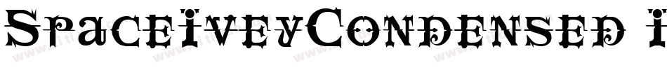 SpaceIveyCondensed Italic字体转换